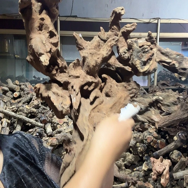 好***字香榧木火琉璃的故事是一