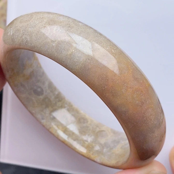 硅化玉未镶嵌颈饰60.7