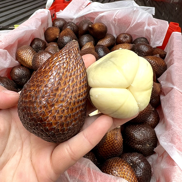 印尼进口蛇皮果2斤/4斤装当季新鲜空运热带水果