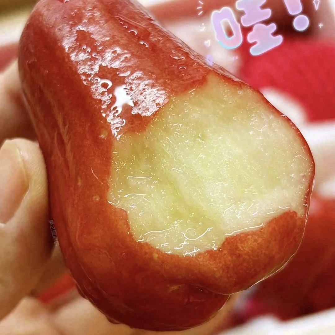 《壹禾优选》黑金刚莲雾一箱3斤左右装