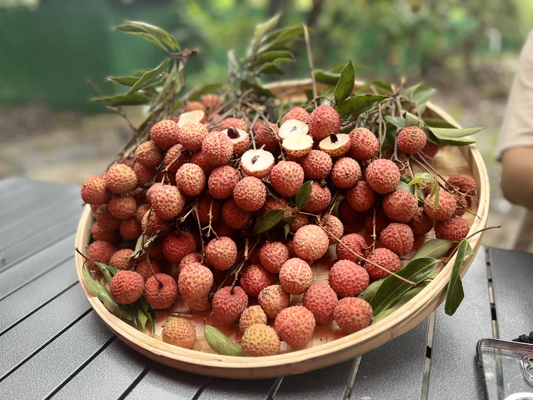 【限广东省内】增城老树桂味清甜脆爽自家果园现摘现发京东生鲜冷链