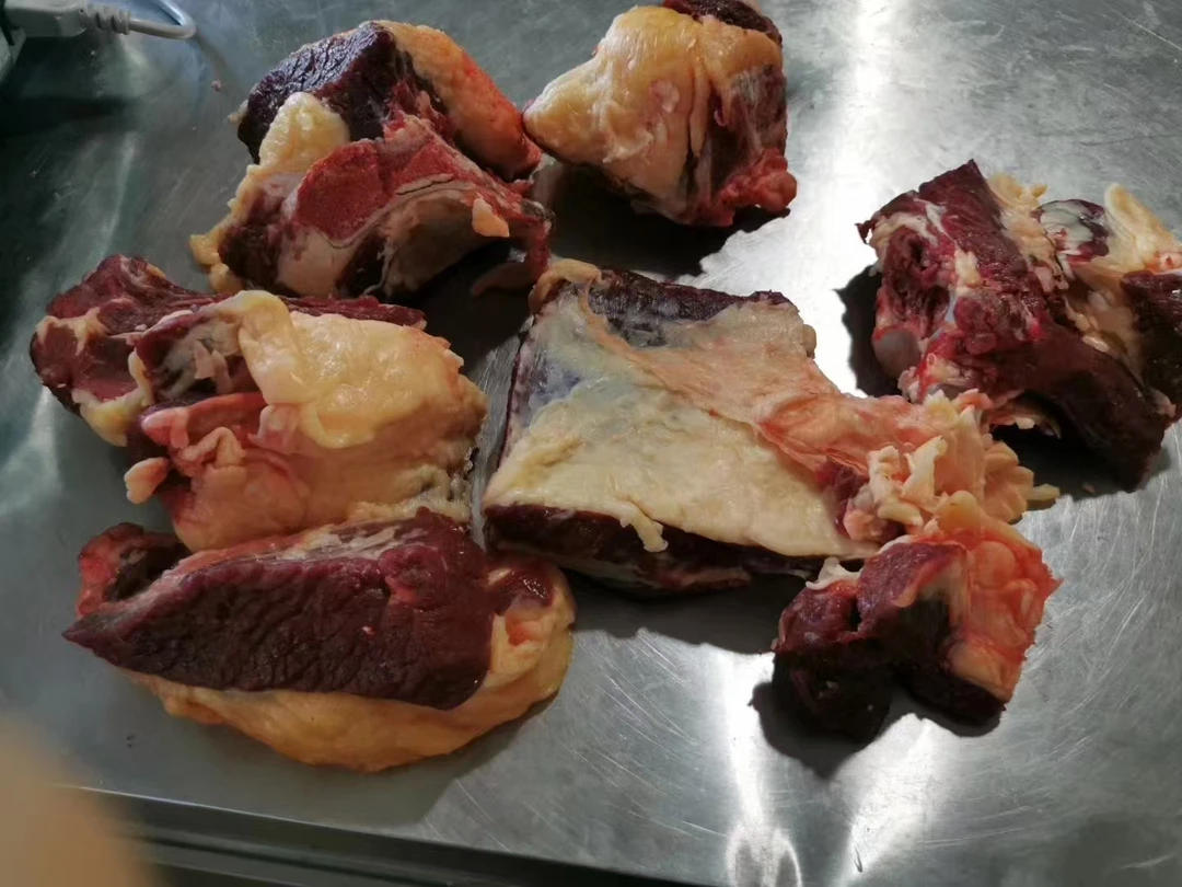 呼伦贝尔大草原黄标牛肉