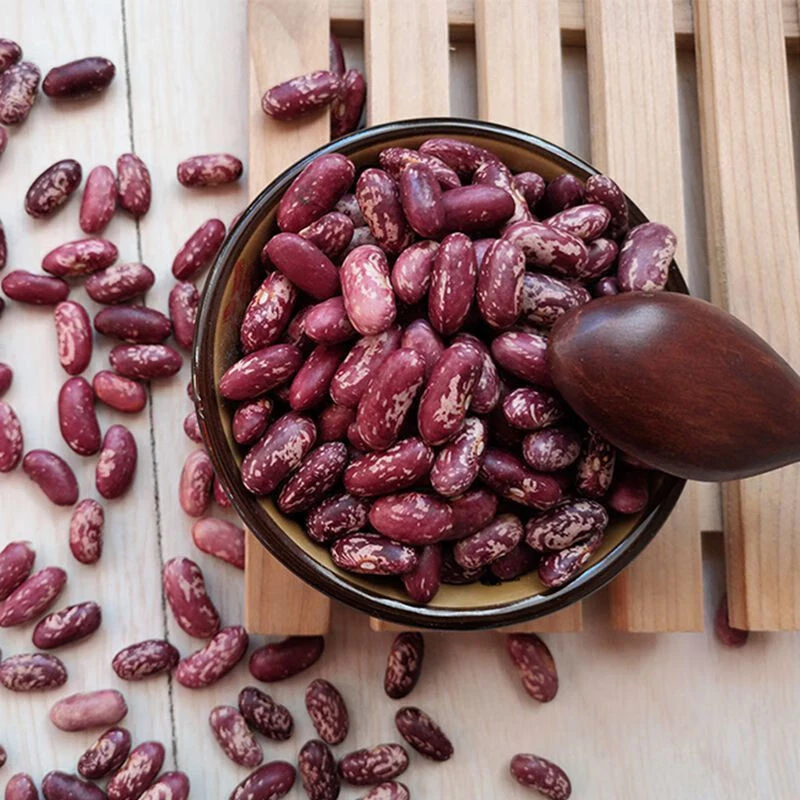 2斤四季豆原味高原农家红豆煮汤熬粥豆沙杂粮四季豆