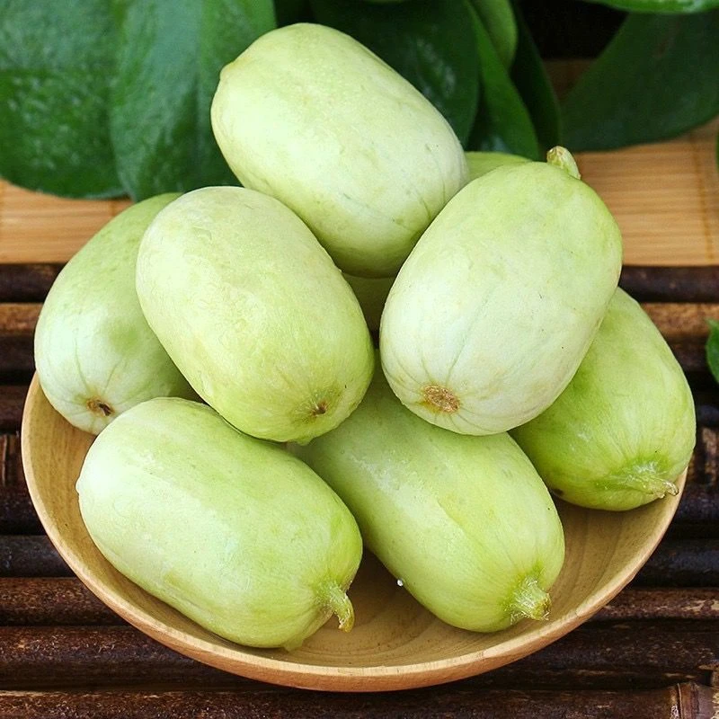 迷你玉女黄瓜种子无刺小黄瓜种籽阳台盆栽庭院玉女