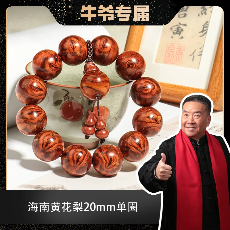 【二楠】海南黄花梨树心料2.0蜘蛛纹单圈圆珠