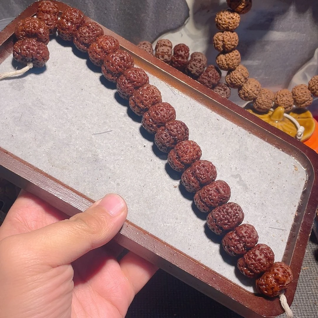 手串金刚菩提24mm夹板龙稚【全】【同心同轴】