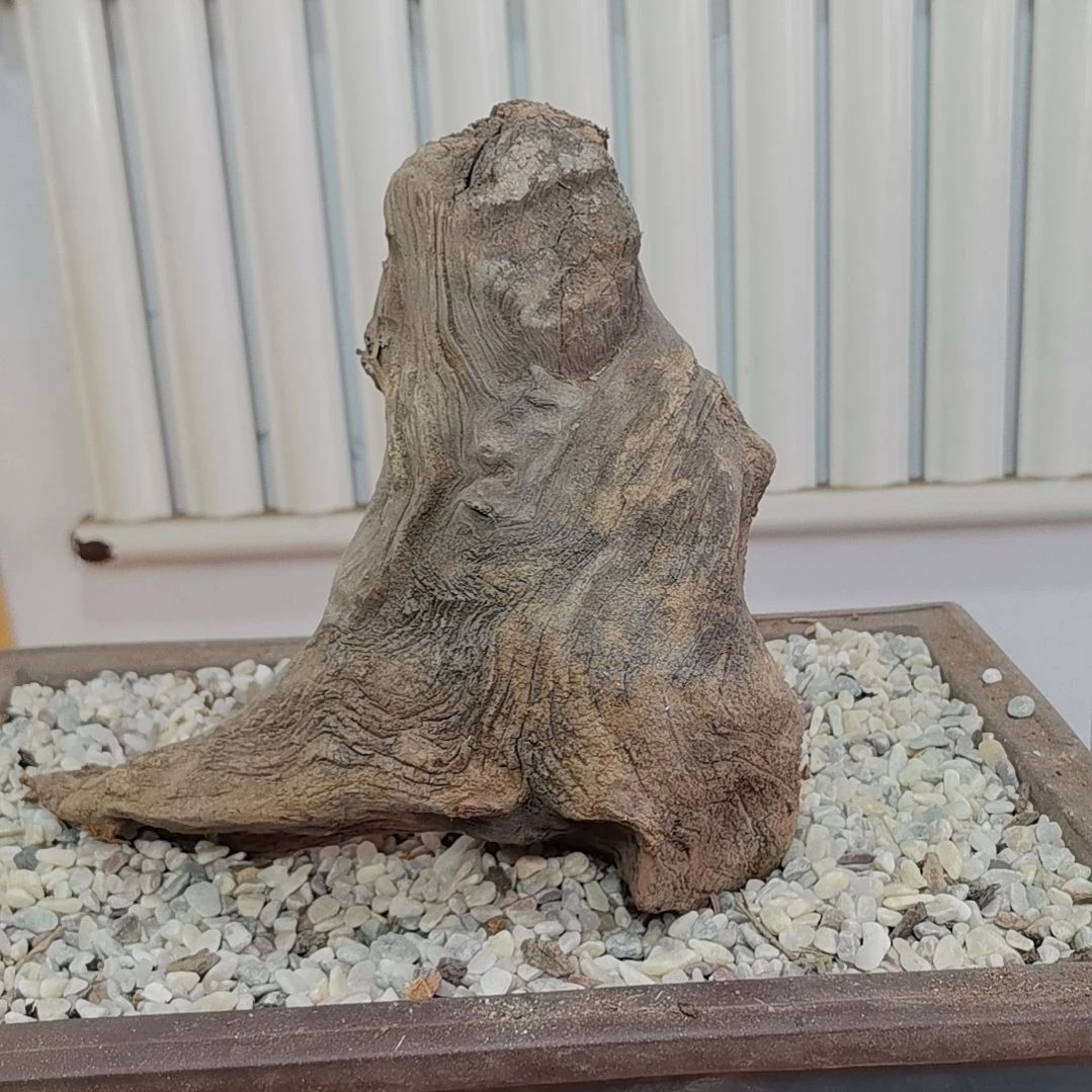 檀香紫檀（小叶紫檀）古**香