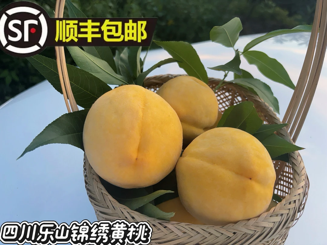 【顺丰包邮】四川乐山锦绣黄桃新鲜采摘脆甜多汁黄心红米毛桃