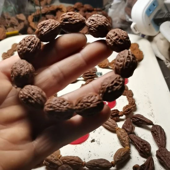 文玩核桃吊坠东北楸异形籽小核桃21