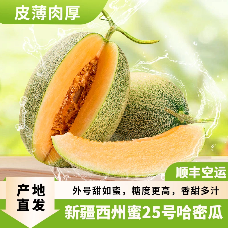 新疆哈密瓜吐鲁番西州蜜绿皮陆地哈密瓜