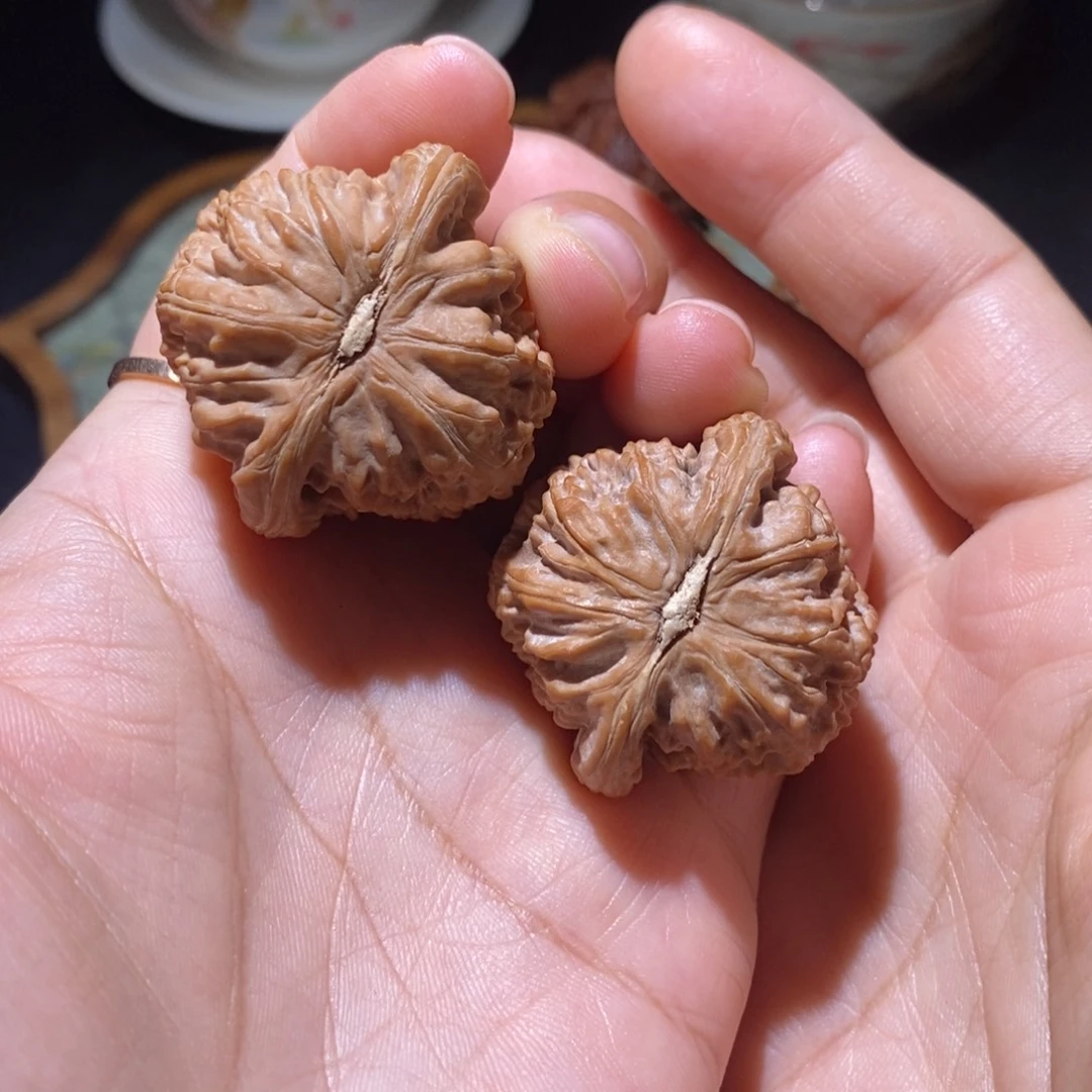 阿***仔把件文玩核桃37白狮子