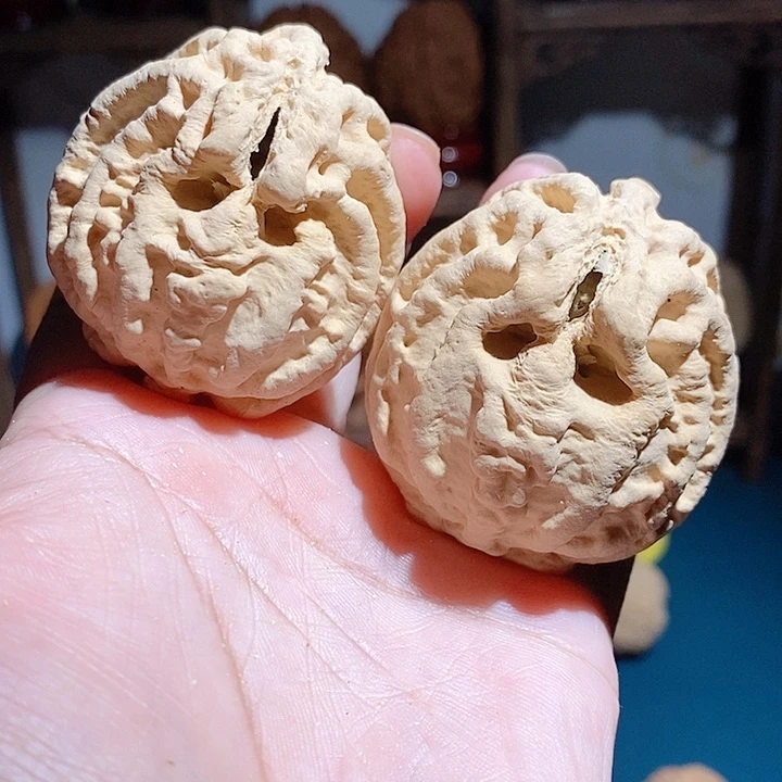 野生鬼脸乾坤核桃4448