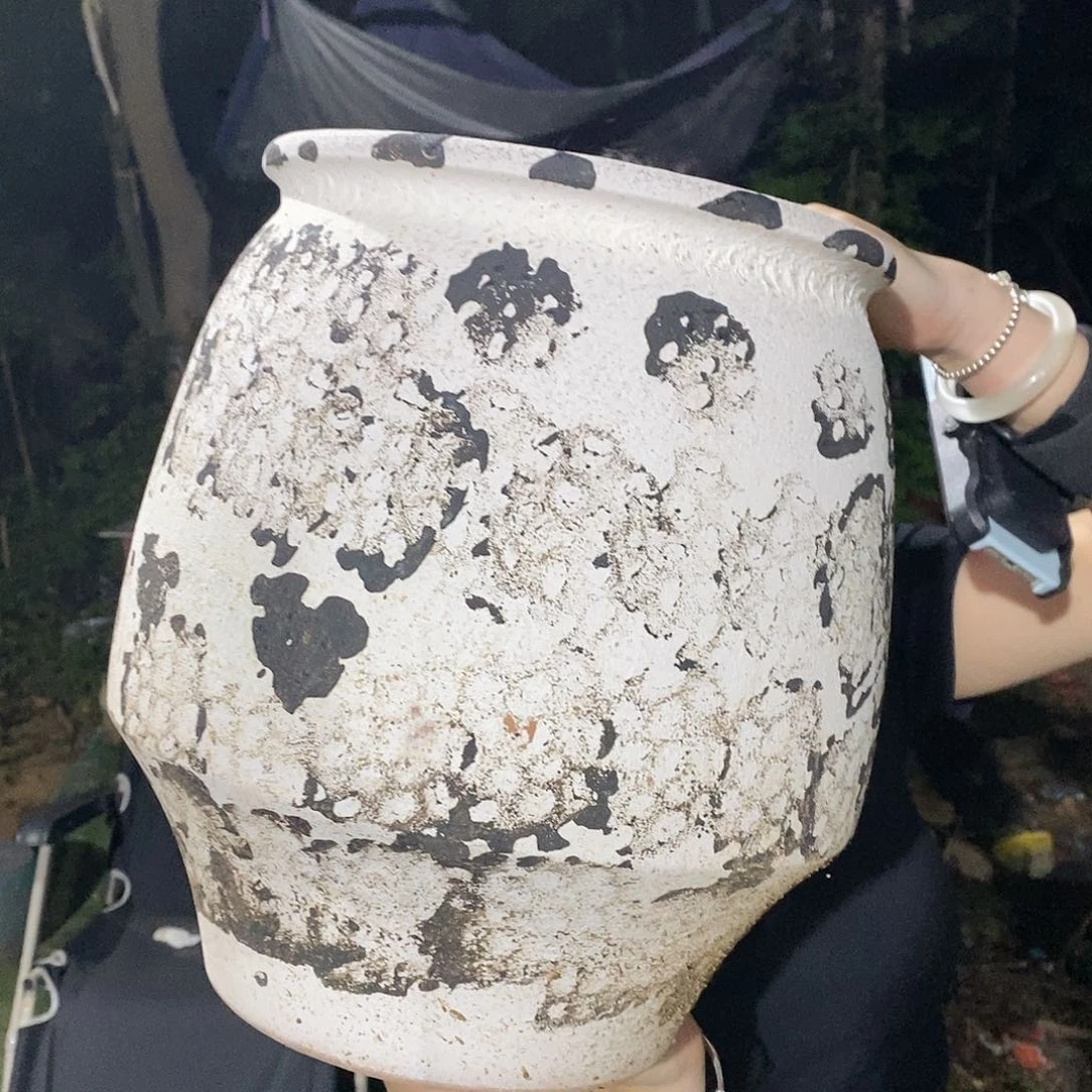 紫砂花盆正品25/33fhhgghhggh