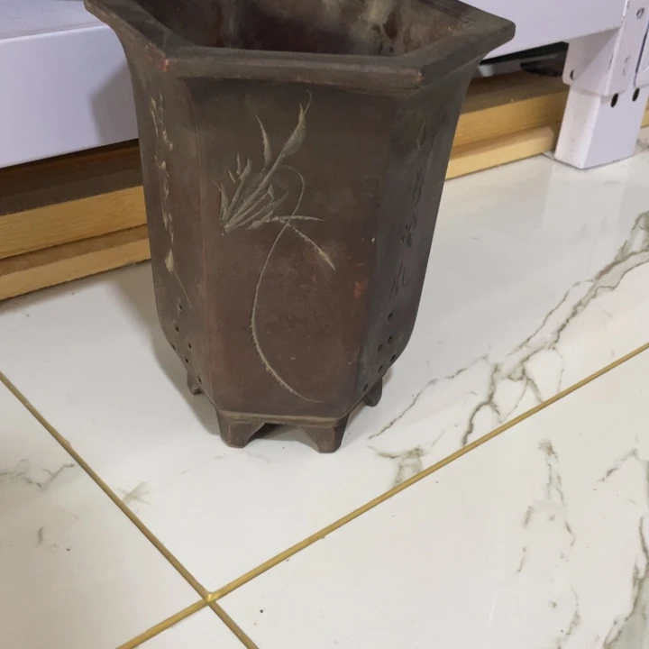 花盆紫砂盆盆盆盆盆盆盆盆盆