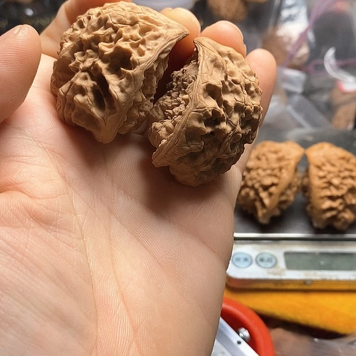 桃核把件星*…47官帽蛇头