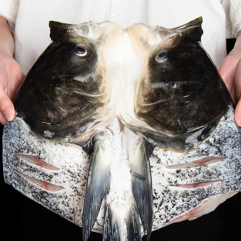 正宗千岛湖冰鲜花鲢鱼头生态大头胖头鱼现杀现发去鳞去鳃剁椒鱼头