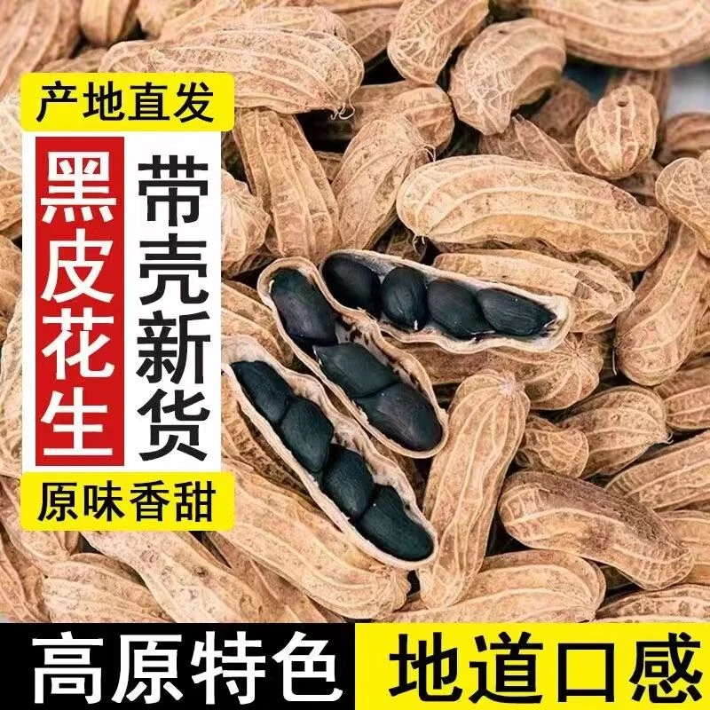 云南富硒黑花生老品种当季新货带壳皮薄清脆香甜
