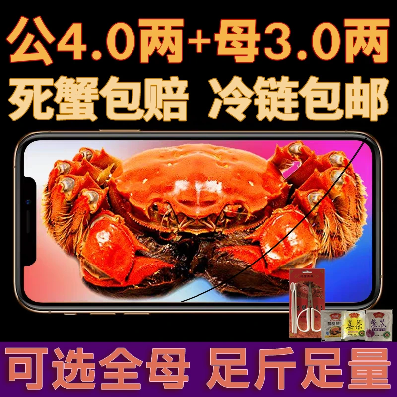 【活蟹】大闸蟹 螃蟹 公蟹4·0-3·7两+母蟹3·0-2·7两/只 精品蟹8/10只可选 顺丰/京东冷链 赠吃蟹工具精美礼盒
