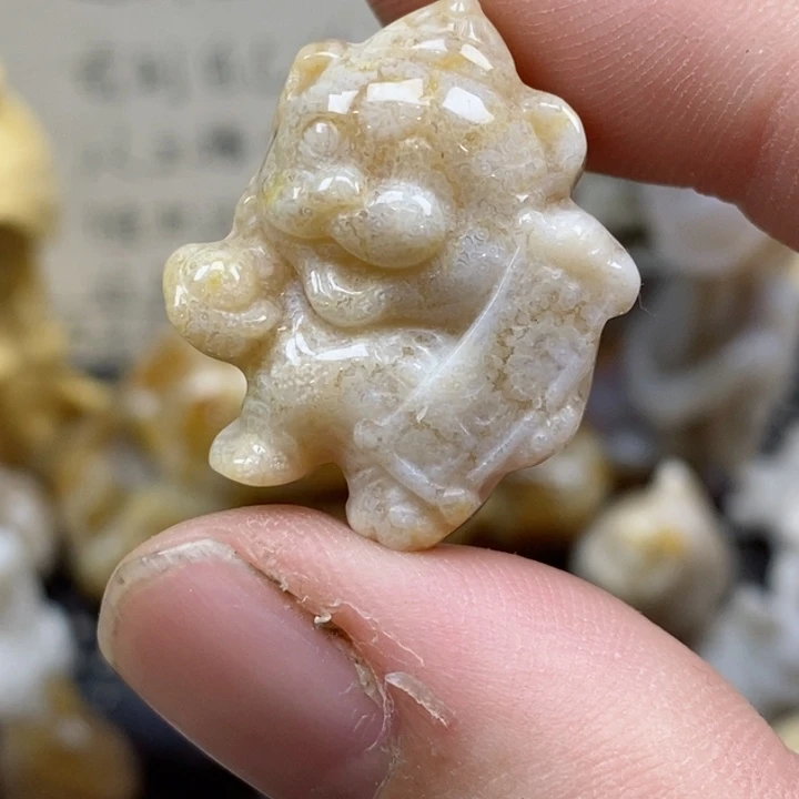 颈饰未镶嵌硅化珊瑚（珊瑚玉）小