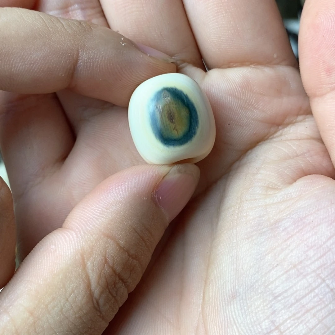 木猛犸直播蓝眼睛链接