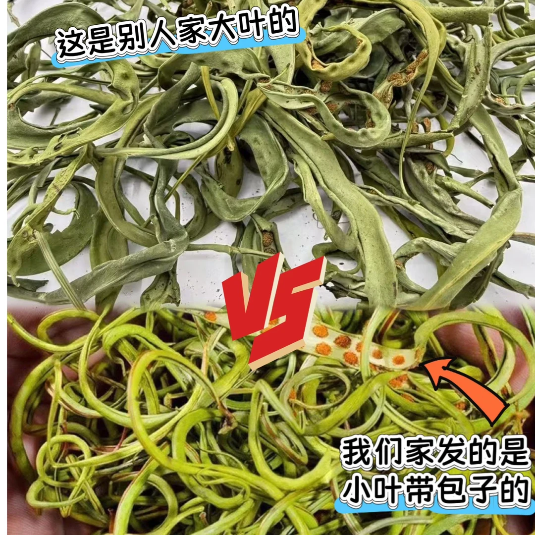 【跑山助农专属●化石草】长白山山货深山野黄金草泡水泡茶可配枸杞