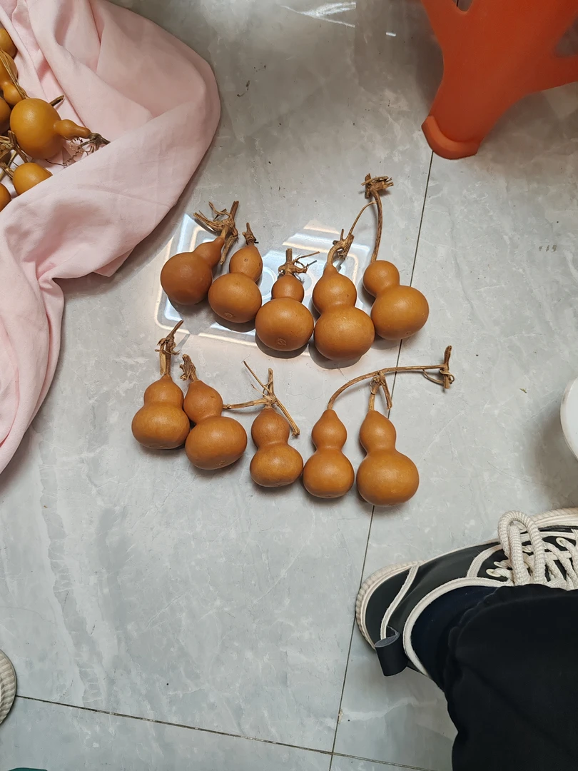 美果福禄葫芦批发