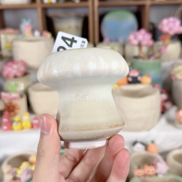 524 口5。福利特惠