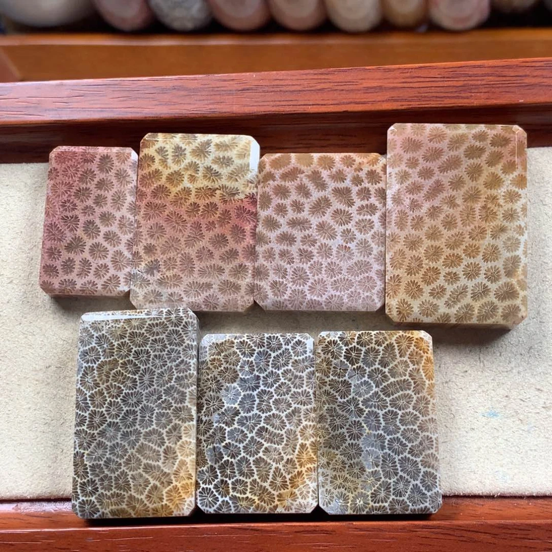 未镶嵌上新吊坠60/个，可挑。09硅化珊瑚（珊瑚玉）