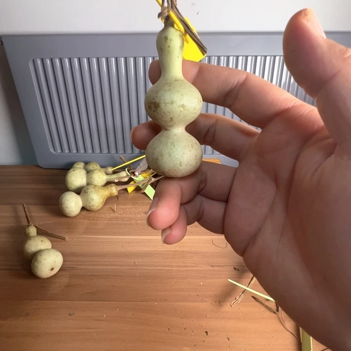 中***和葫芦葫芦葫芦葫芦