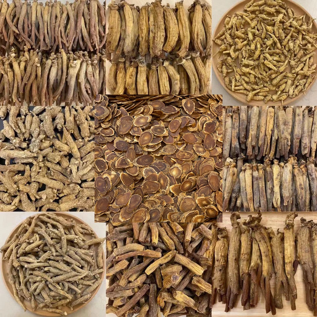 【中片】高俪中片 人参