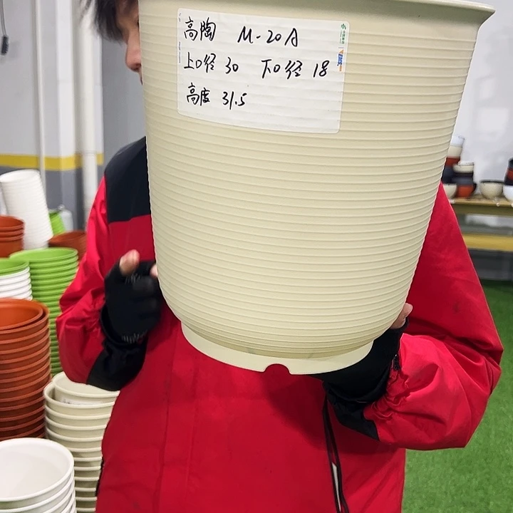 正品高陶口30高31米色3只无托