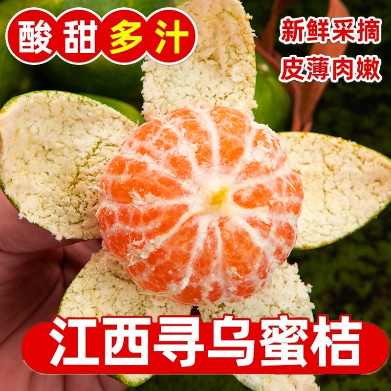 《顺丰上门》江西赣州寻乌蜜橘无核无渣9甜1酸新鲜现摘现发3/5斤