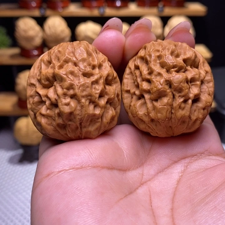 木质类云铁龙甲8号39尺