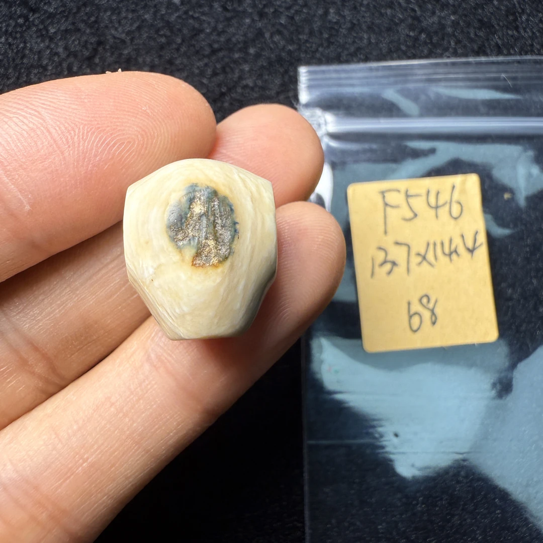 F546猛犸象牙对孔13.6*14.4mm鲨鱼背三通果冻料