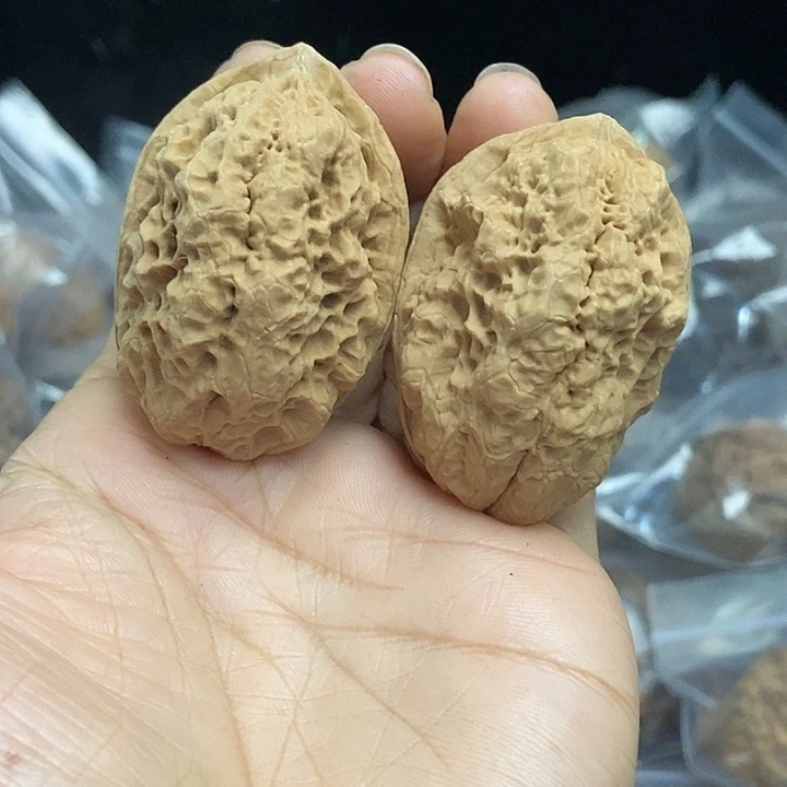 木质类云南铁核桃基地48