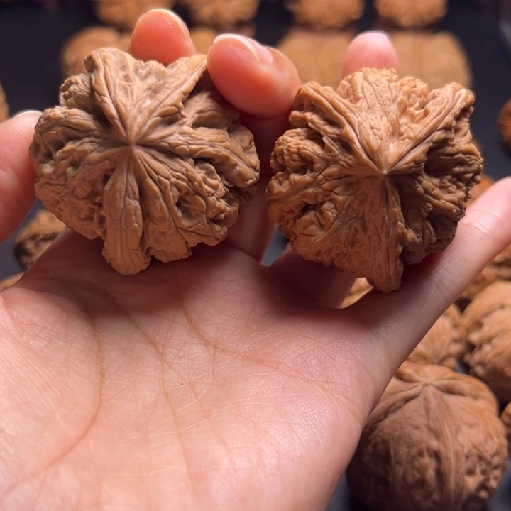 周*儿大粗筋三棱核桃哈哈哈哈哈哈