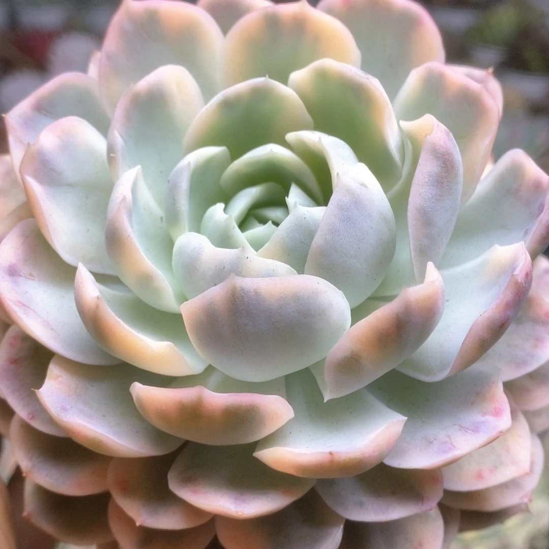 D053哈哈哈哈哈哈哈哈哈哈