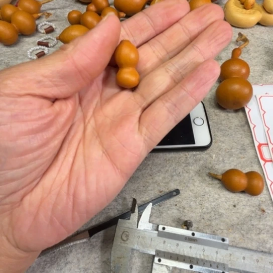 李***呗李蕊贮备的一把草李金一把草李金葫芦