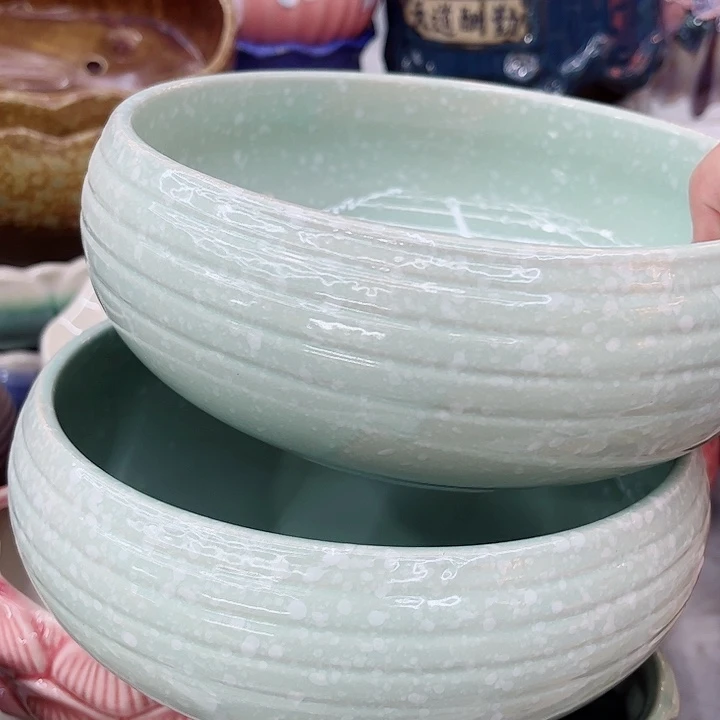 多肉植物陶瓷花盆