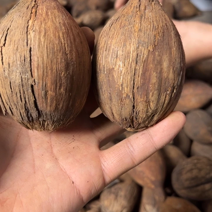 千眼菩提吊坠千眼菩提，74 号。