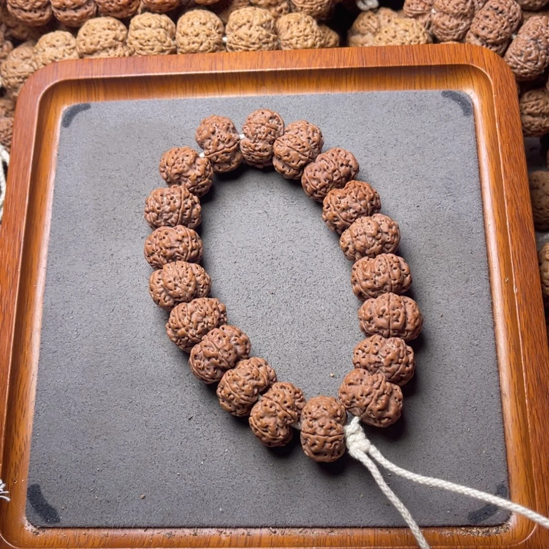 菩提籽类34号金刚菩提矮壮凹底钮扣梅花20