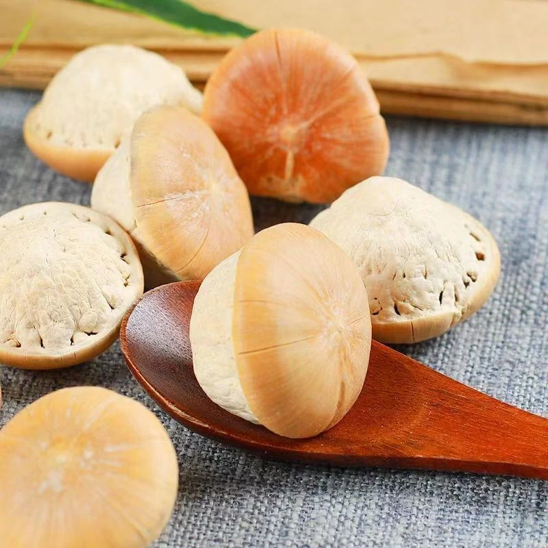 大山里的珍品 石头果