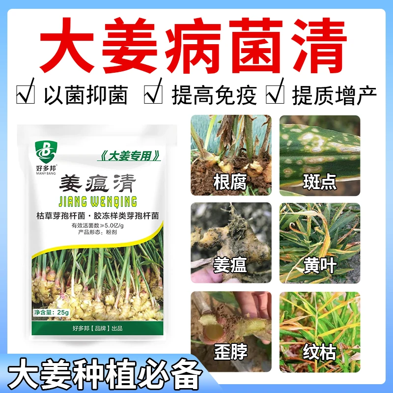 姜瘟清大姜专用姜瘟茎基腐烂脖子软腐青枯叶斑正品直销微生物菌剂