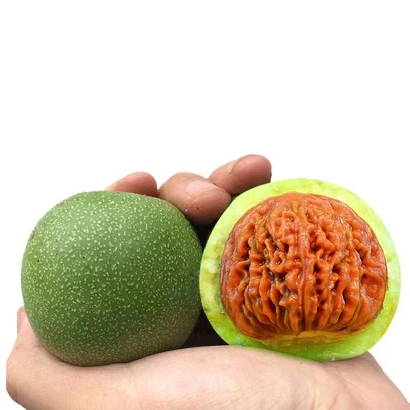 定制商品，青皮核桃