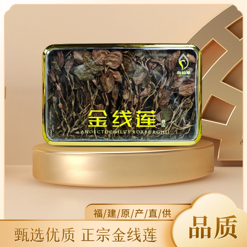 鸟仙草【金煌正品金线莲】福建正宗原生态种植整株低温慢焙香味浓郁