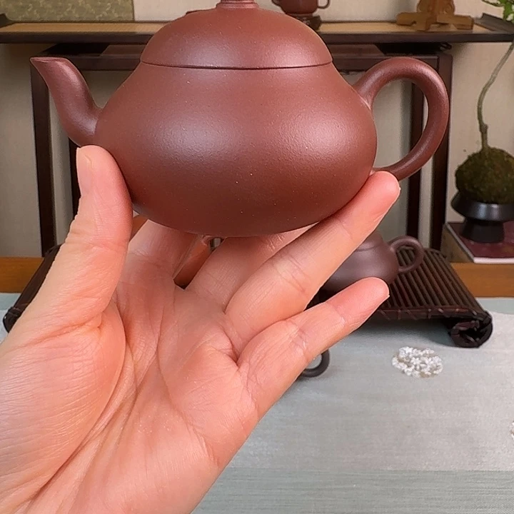 象***师茶壶紫砂888888888