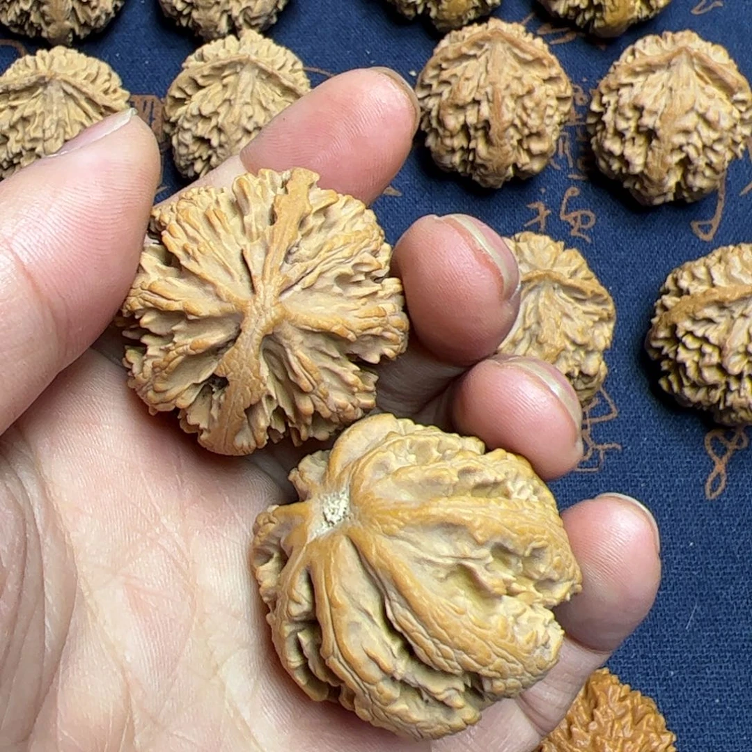 文玩核桃把件秦岭野生灯笼核桃