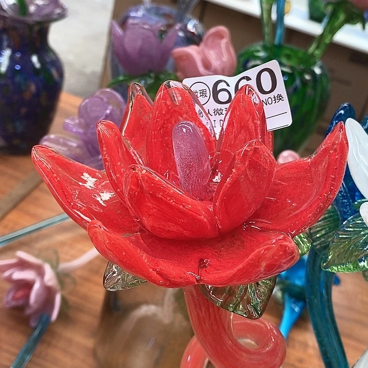 夜光花高45厘米宽12厘米