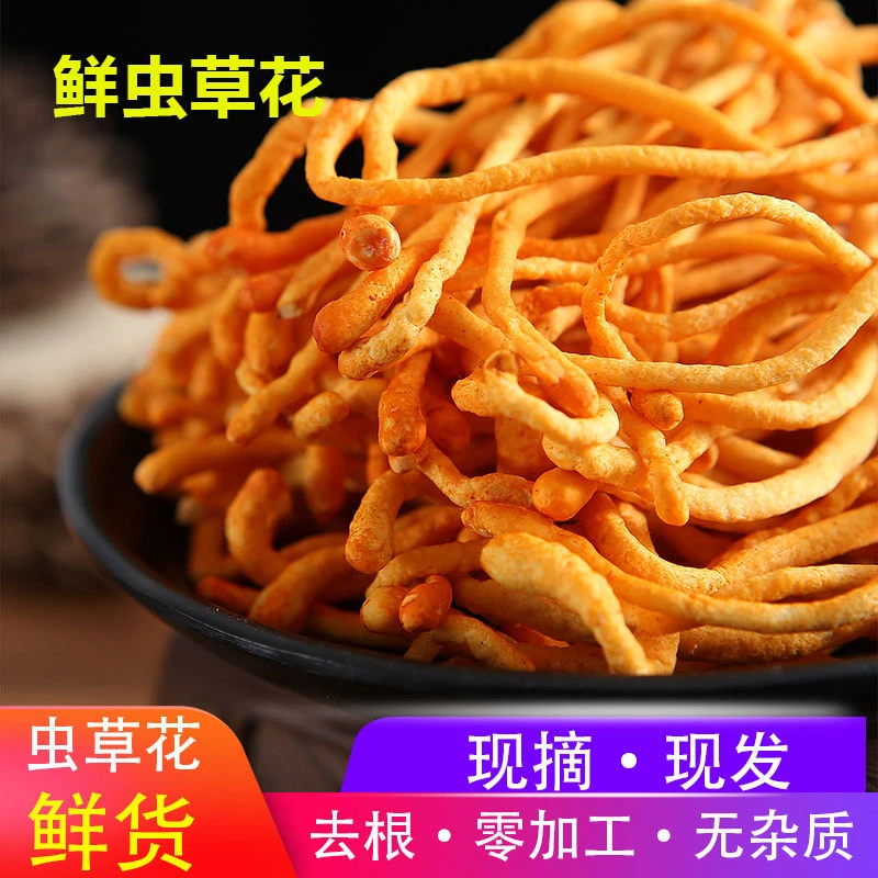 ［新品福利］东北特产虫草花菇2斤（发货后不支持退款）