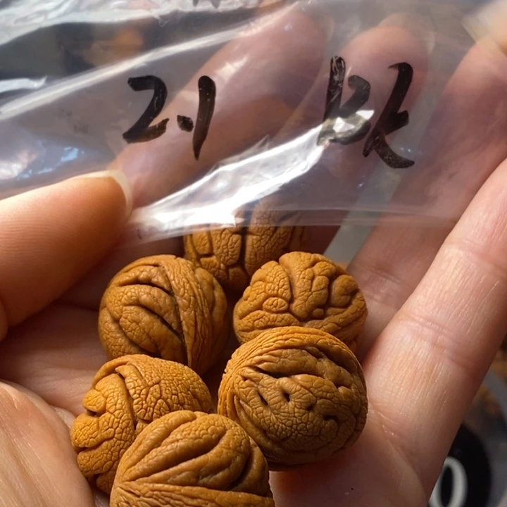 手串文玩核桃秦岭野生龙纹桃核21